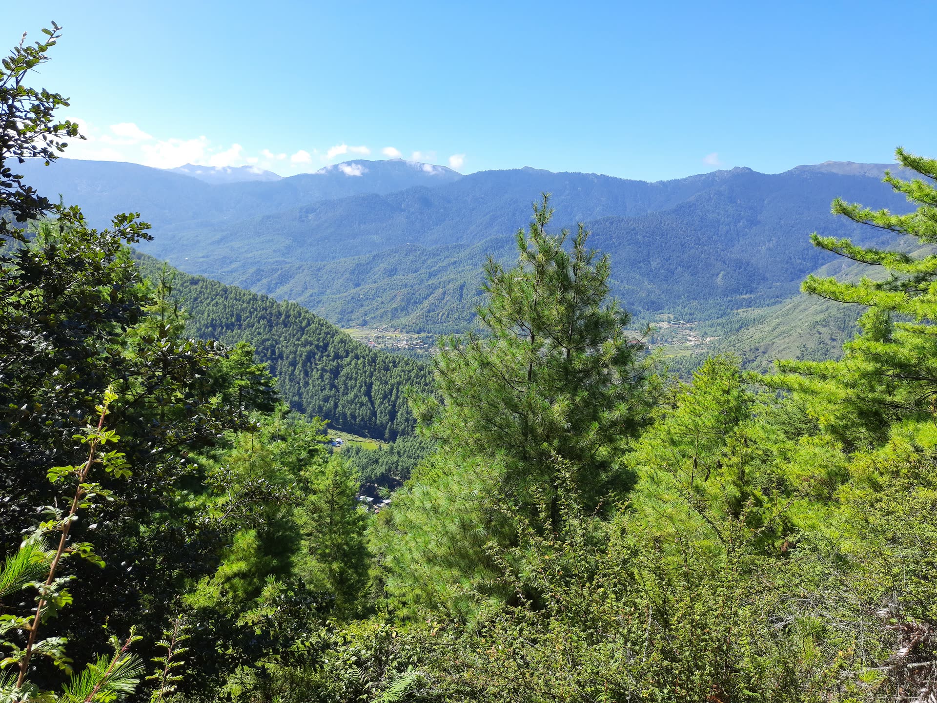 青空の下、深い緑の山林が幾重にも続くブータンの山岳風景（イメージ）